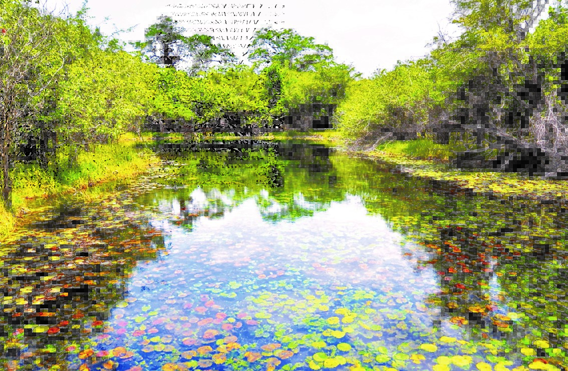 El ecosistema guatemalteco requiere de cuidado para evitar   deterioro. (Foto Prensa Libre: Hemeroteca PL)