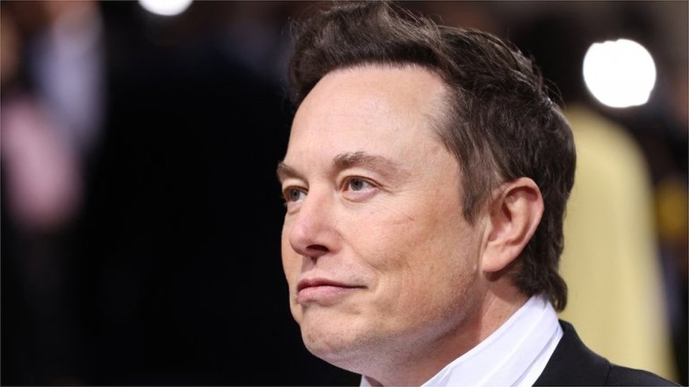Musk suspende la compra de Twitter mientras aclara detalles sobre cuentas falsas