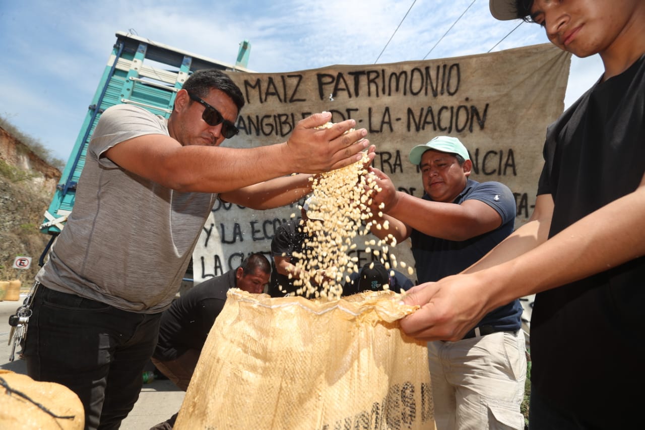 Los transportistas de maíz exigen un diálogo con el Gobierno, pues aseguran que autoridades de la SAT y PNC les hacen cobros ilegales. (Foto Prensa Libre: Esbin García)
