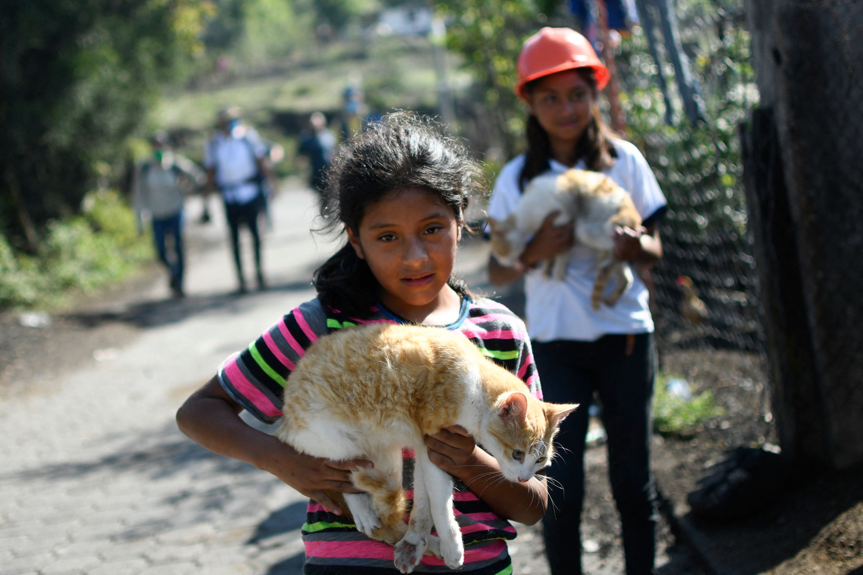  En la aldea San José El Rodeo, ubicada en las faldas del volcán Pacaya, se activó una alarma a modo de ensayo para que los pobladores sepan que hacer junto a sus mascotas al momento de una erupción. (Foto Prensa Libre: AFP)