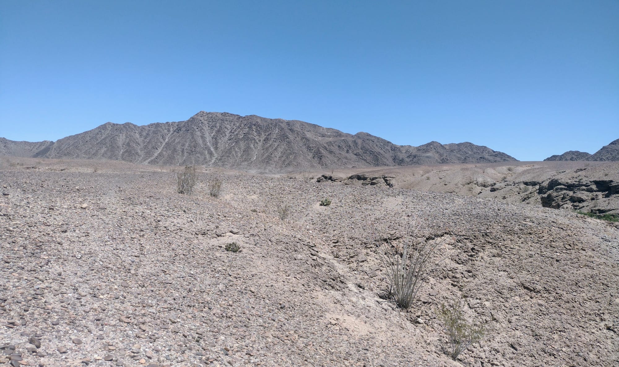 Imagen del del desierto de Arizona en uno de sus puntos más hostiles donde los migrantes caminan, prácticamente, en medio de la nada y en donde la temperatura suele pasar de los 50 grados centígrados. (Foto Prensa Libre: RMG)