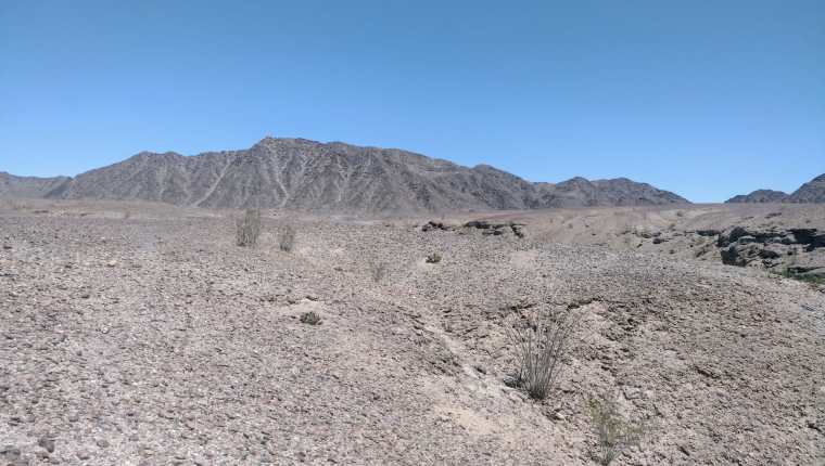 Imagen del del desierto de Arizona en uno de sus puntos más hostiles donde los migrantes caminan, prácticamente, en medio de la nada y en donde la temperatura suele pasar de los 50 grados centígrados. (Foto Prensa Libre: RMG)
