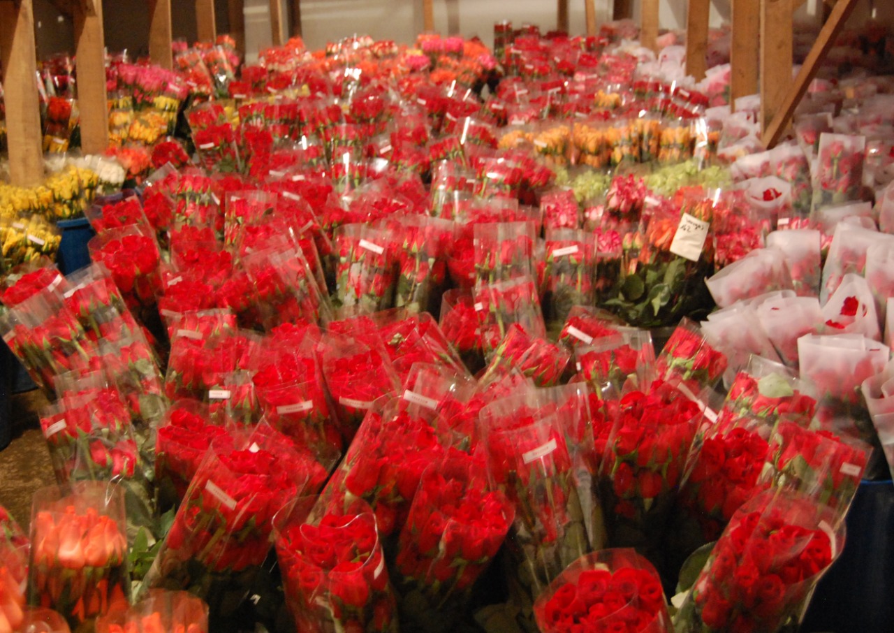 Las seis flores que más exporta Guatemala por el Día de la Madre hacia Estados Unidos y Centroamérica