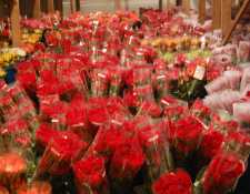 Las seis flores que más exporta Guatemala por el Día de la Madre hacia Estados Unidos y Centroamérica