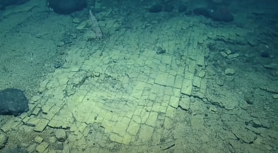 Qué es el “misterioso camino de baldosas amarillas” que investigadores descubrieron en las profundidades del Pacífico