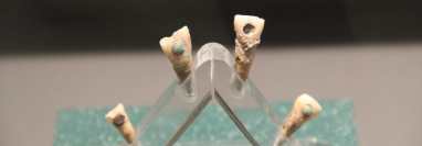 Mantener los dientes sanos era importante para los mayas por su relación con lo divino. (Foto: historia.nationalgeographic.com.es/Wikimedia Commons)