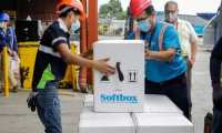Vacunas Pfizer que llegaron a Guatemala el 25 de mayo de 2022, mediante mecanismo Covax, para vacunar contra el covid-19 a personas de 12 años en adelante. (Foto Prensa Libre: Ministerio de Salud)