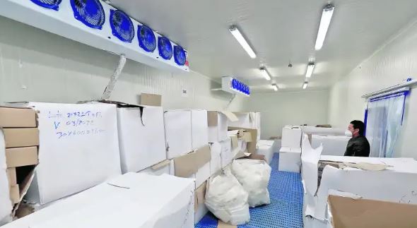 vencimiento de vacunas