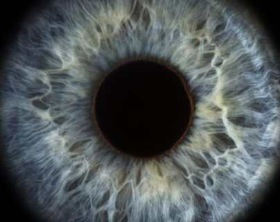 Los científicos que “revivieron” las células de la retina de un donante muerto (y cómo puede revolucionar las terapias para enfermedades del ojo)