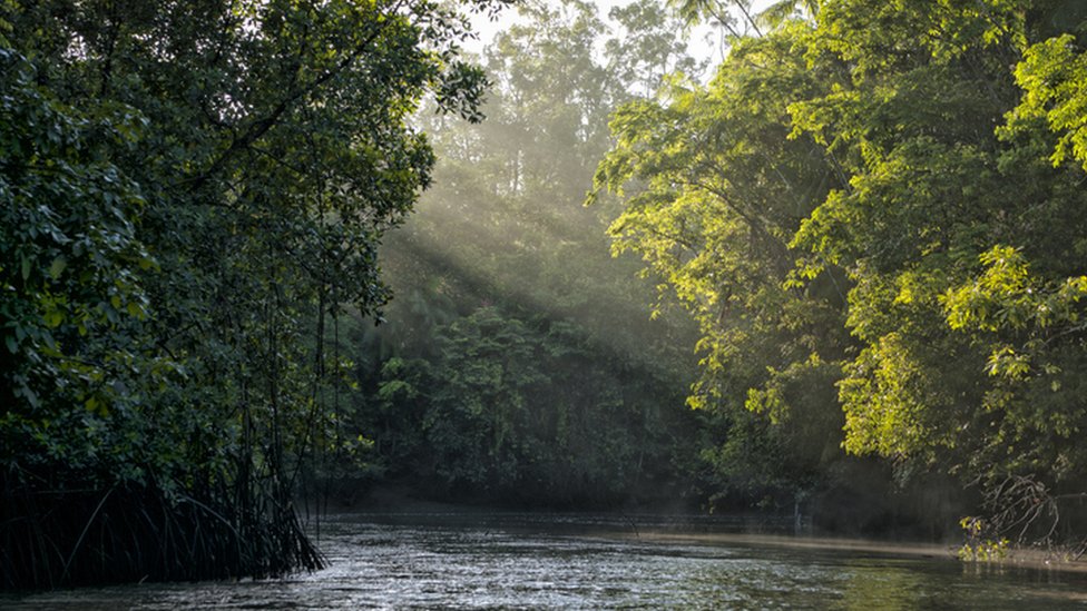 Ratanabá: por qué la leyenda de la ciudad perdida en el Amazonas “no tiene sentido”, según un arqueólogo