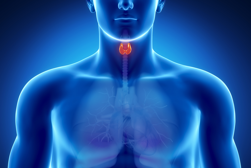Conozca de qué manera afecta la radioactividad a la glándula tiroides