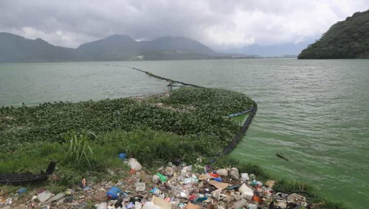 Toneladas de basura llegan al Lago de Amatitlán, cuyas aguas están altamente contaminadas con sustancias tóxicas, según expertos. (Foto Prensa Libre: Élmer Vargas)