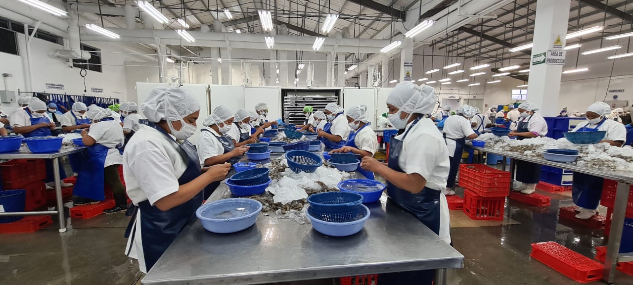 El sector acuícola se diversifica y ya no se dedica solo a criar camarones y peces