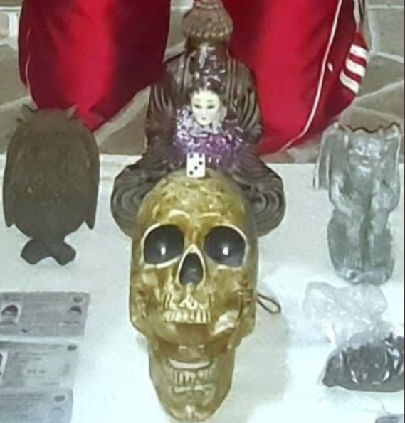 Pandillas en El Salvador: objetos para ritos satánicos, armas, drogas y carne de animales exóticos en campamentos de maras