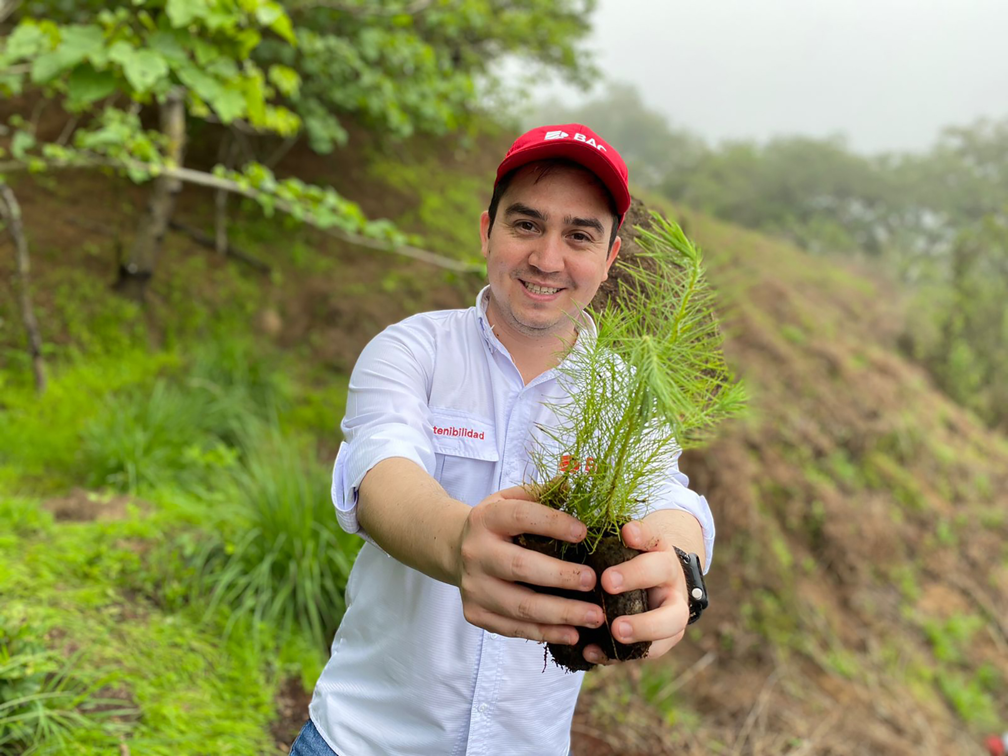 Más de 6 mil árboles fueron plantados en área protegida del municipio de Chinautla, Guatemala. Foto Prensa Libre: Cortesía