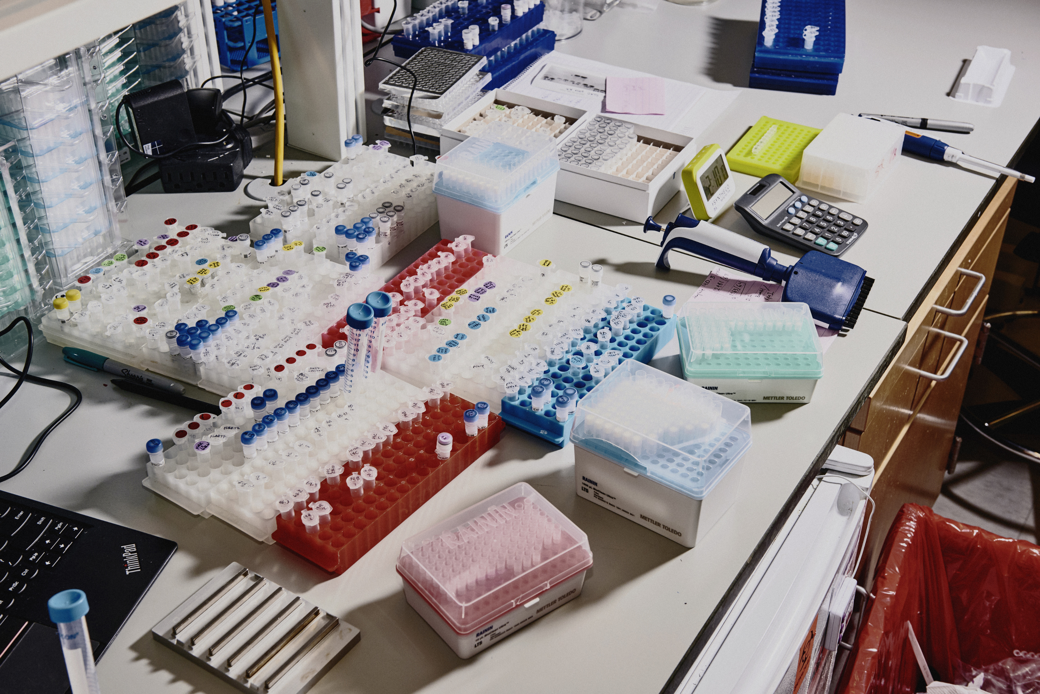Equipo en el laboratorio de Feng Zhang, un destacado investigador de CRISPR en el Instituto Broad, en Cambridge, Massachusetts, el 18 de enero de 2019. (Foto Prensa Libre: Tony Luong/The New York Times)
