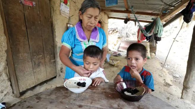 inseguridad alimentaria