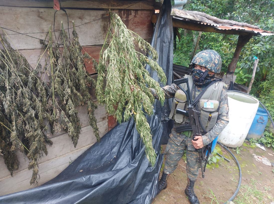 Un soldado en una de las áreas donde se localizó una plantación de marihuana en el área de Tajumulco e Ixchigúan, San Marcos, donde hay un estado de Sitio. (Foto Prensa Libre: Ejército de Guatemala)