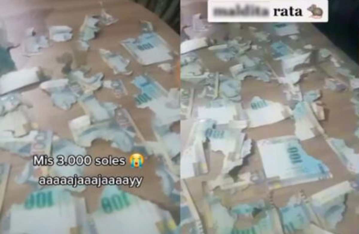 “Mis ahorros”: peruana llora de impotencia, porque una rata destruyó el dinero que tenía guardado en su casa