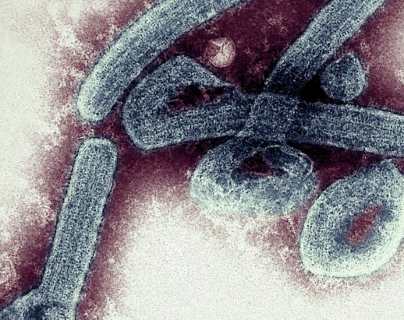 La preocupación por el primer brote en Ghana del mortal virus de Marburgo, de la misma familia que el ébola