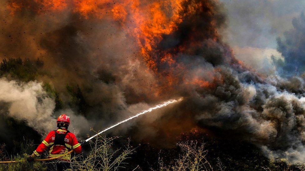 Incendios forestales en Europa