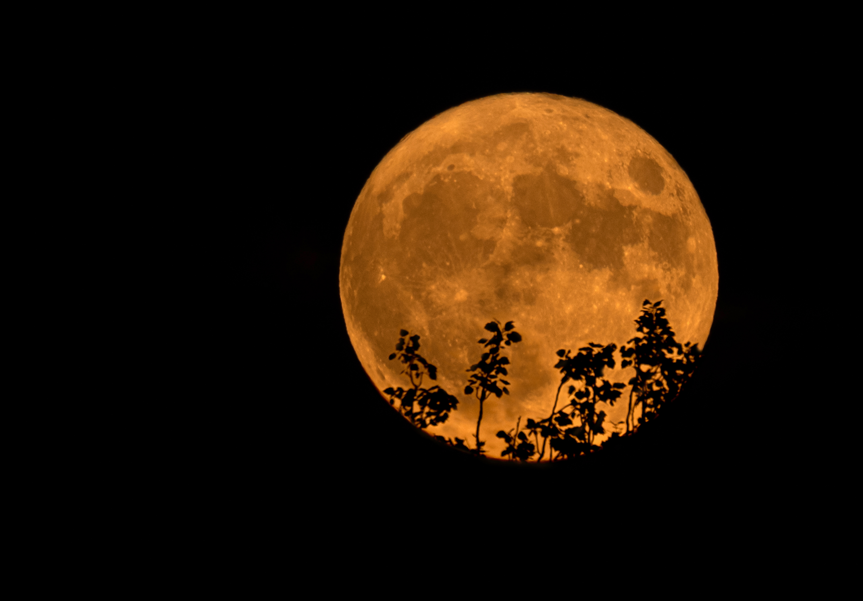 Julio también permitió momentos naturales emblemáticos con la luna. Fotografía: EFE.