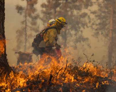 Incendio en California: los videos que muestran cómo hectáreas de bosque son consumidas por las llamas