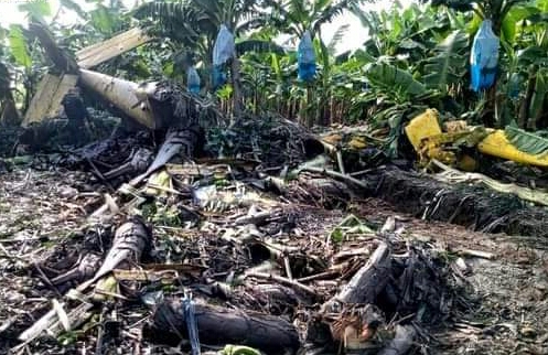 Accidente aéreo en una finca de Tiquisate, Escuintla