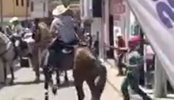 Video: Graban momento en el que un caballo patea fuertemente a un hombre durante un desfile hípico en Pachalum