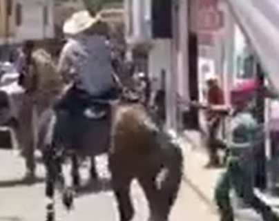Video: Graban momento en el que un caballo patea fuertemente a un hombre durante un desfile hípico en Pachalum