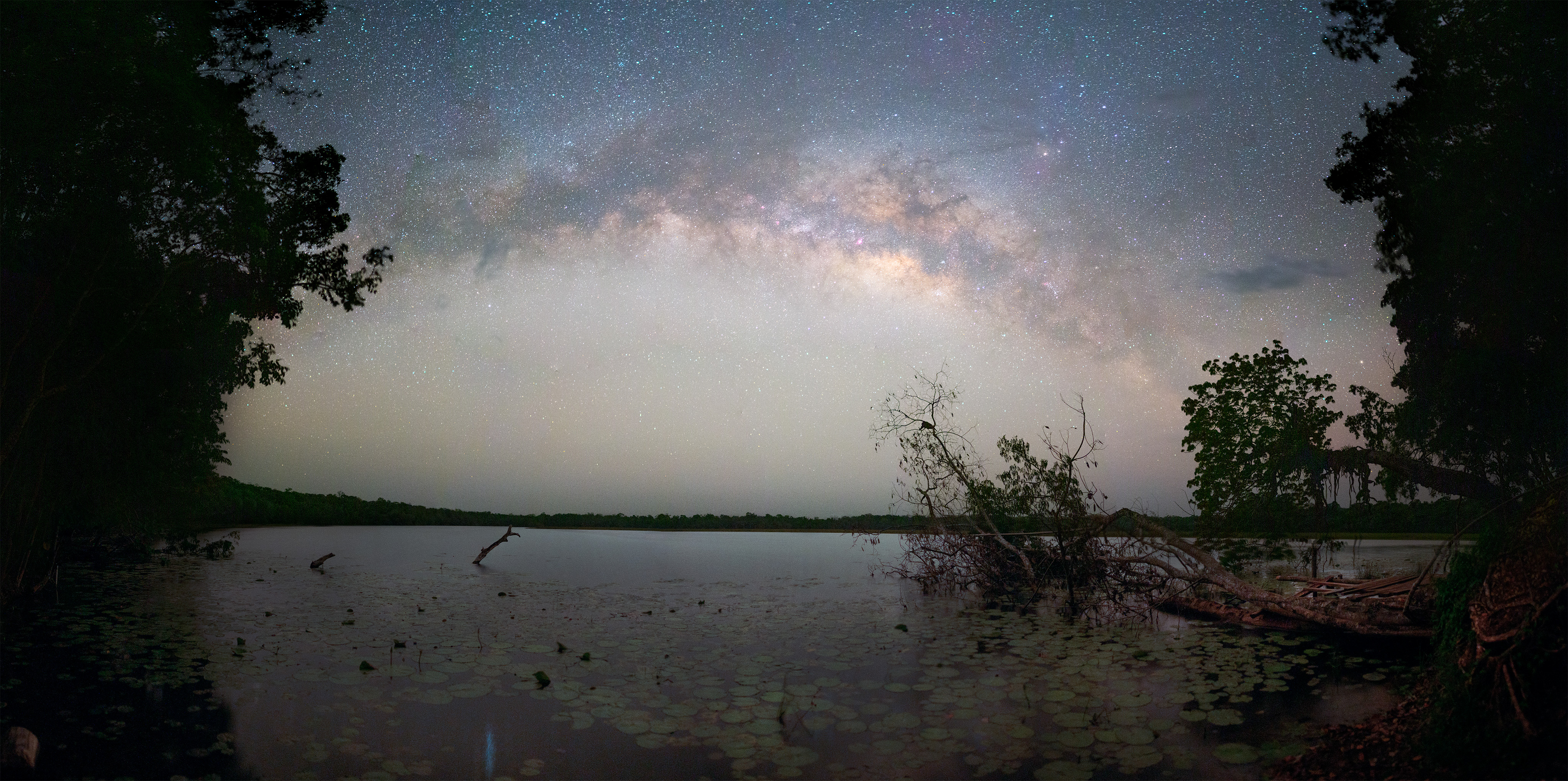 Paraíso Selvático: Vía Láctea sobre Puerto Arturo
(Astrofotografía Prensa Libre: Sergio Montúfar
Con el apoyo de ACOFOP)