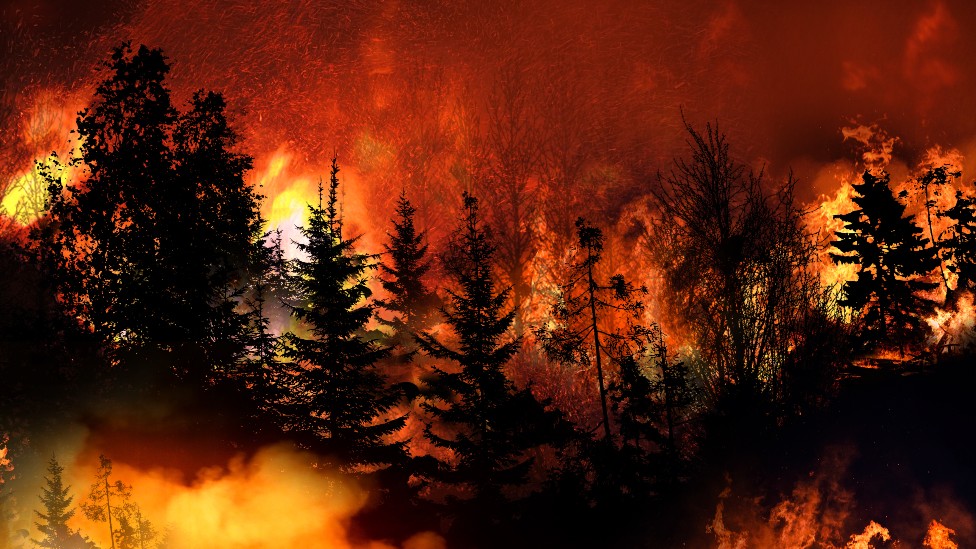 Rayos incendios forestales