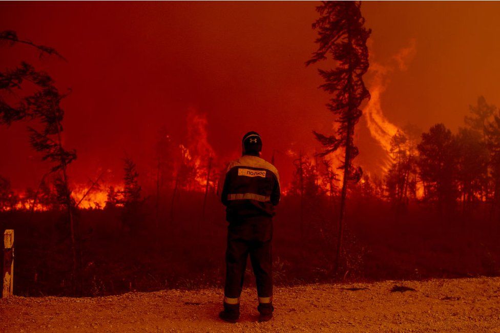 “Como 16 canchas de futbol por minuto”: la impactante cantidad de árboles calcinados en incendios en un solo año