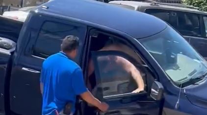 Video: El curioso caso de un hombre que sale sin ropa de su furgoneta accidentada en una calle de Los Ángeles