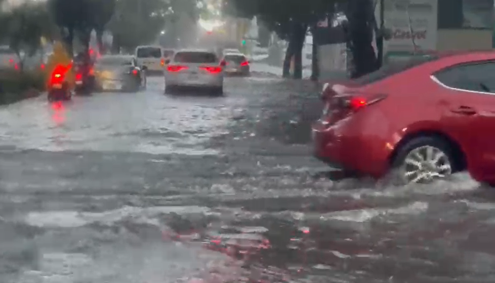 Videos: Así se registraron inundaciones en la capital y caída de árboles por fuertes lluvias