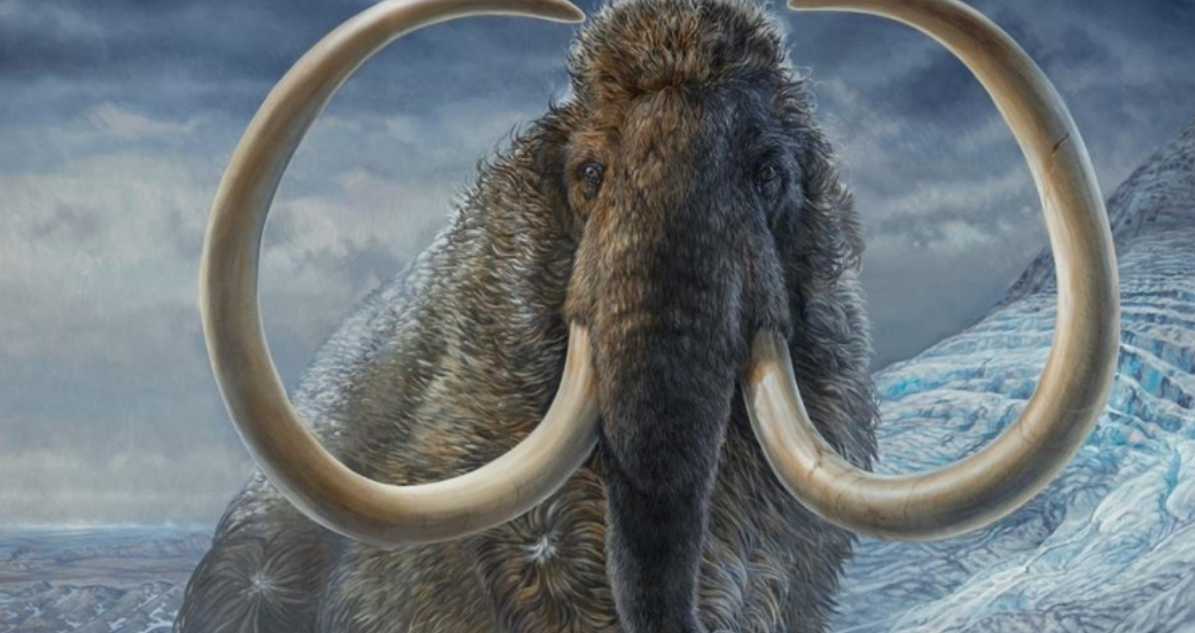 Científicos reavivan células de mamuts y en estudio hablan de una posible “resurrección” de una especie extinta