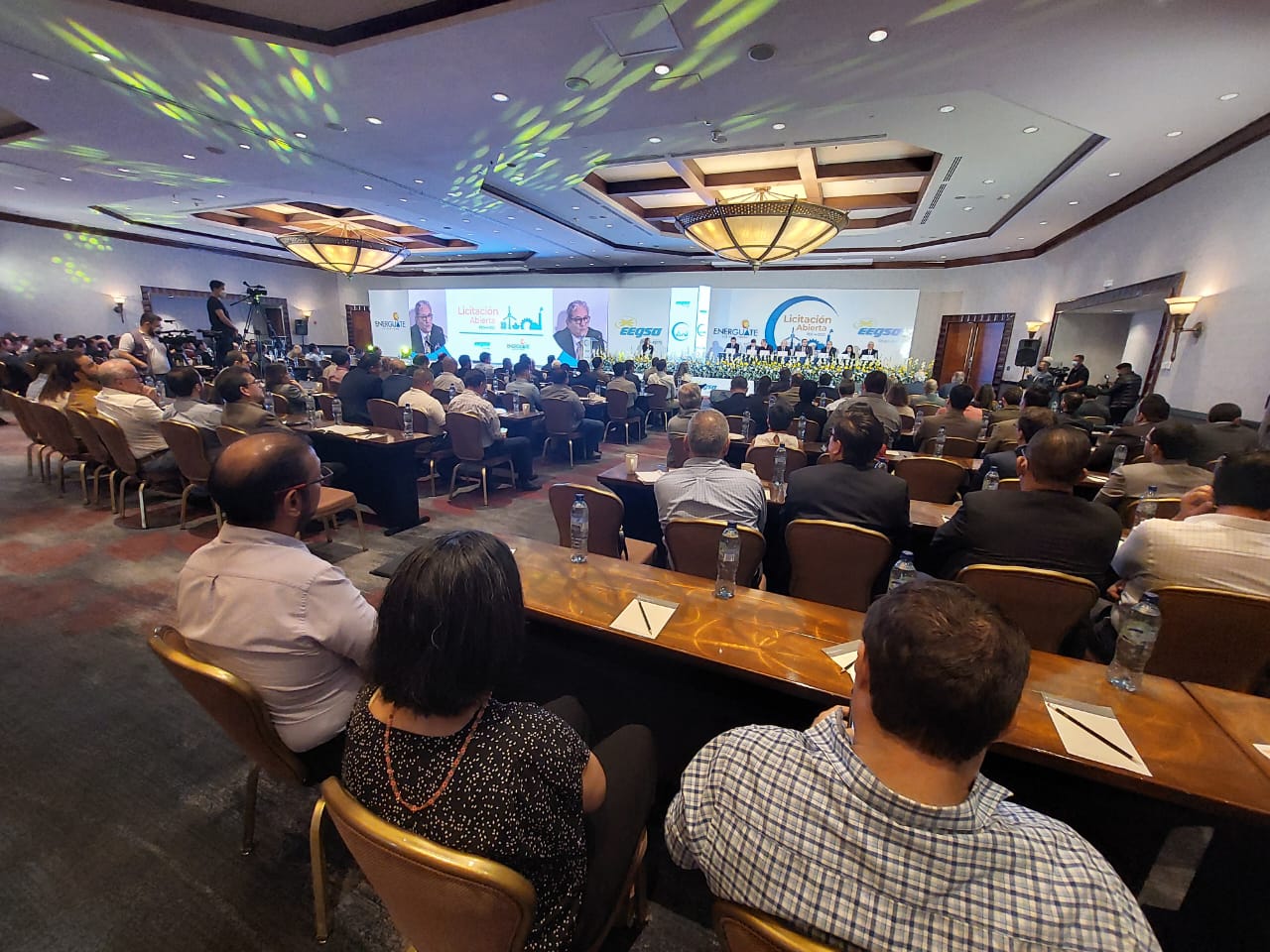 Nueva licitación de energía eléctrica priorizará la generación con recursos renovables