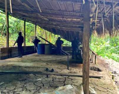 Localizan al menos 10 plantaciones de coca y dos narcolaboratorios y Ejército detalla operaciones