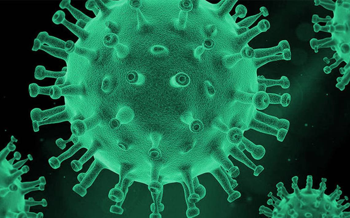 Virus del covid-19. (Ilustración: AFP)