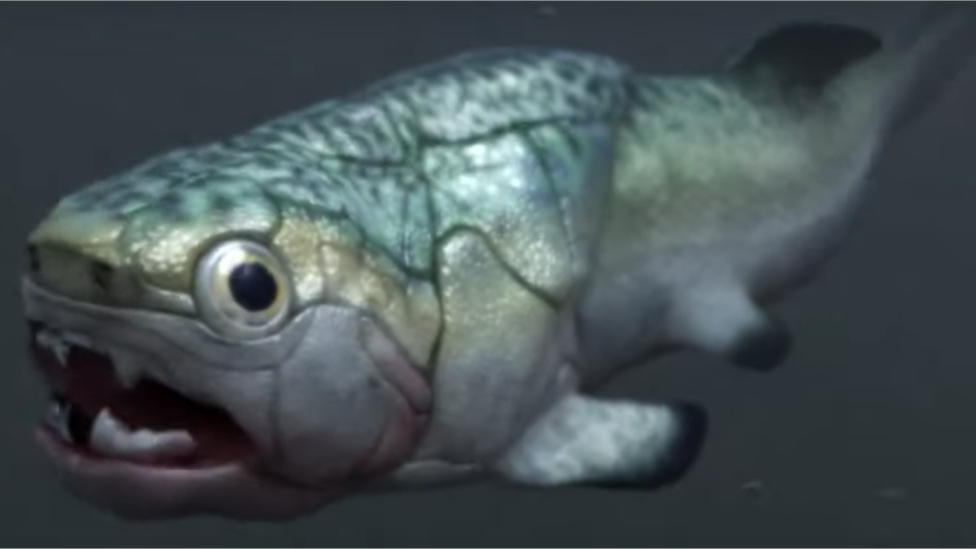 Representación artística de un pez gogo. (PALEOZOO)
