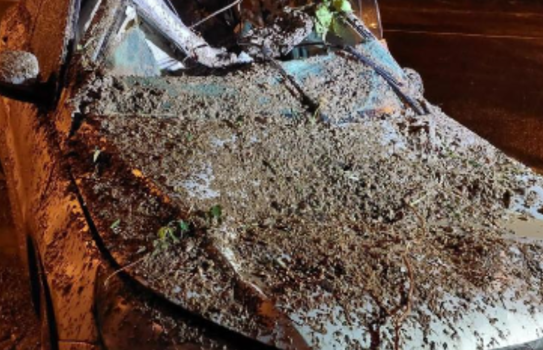 Derrumbe destruye carro en la calzada La Paz