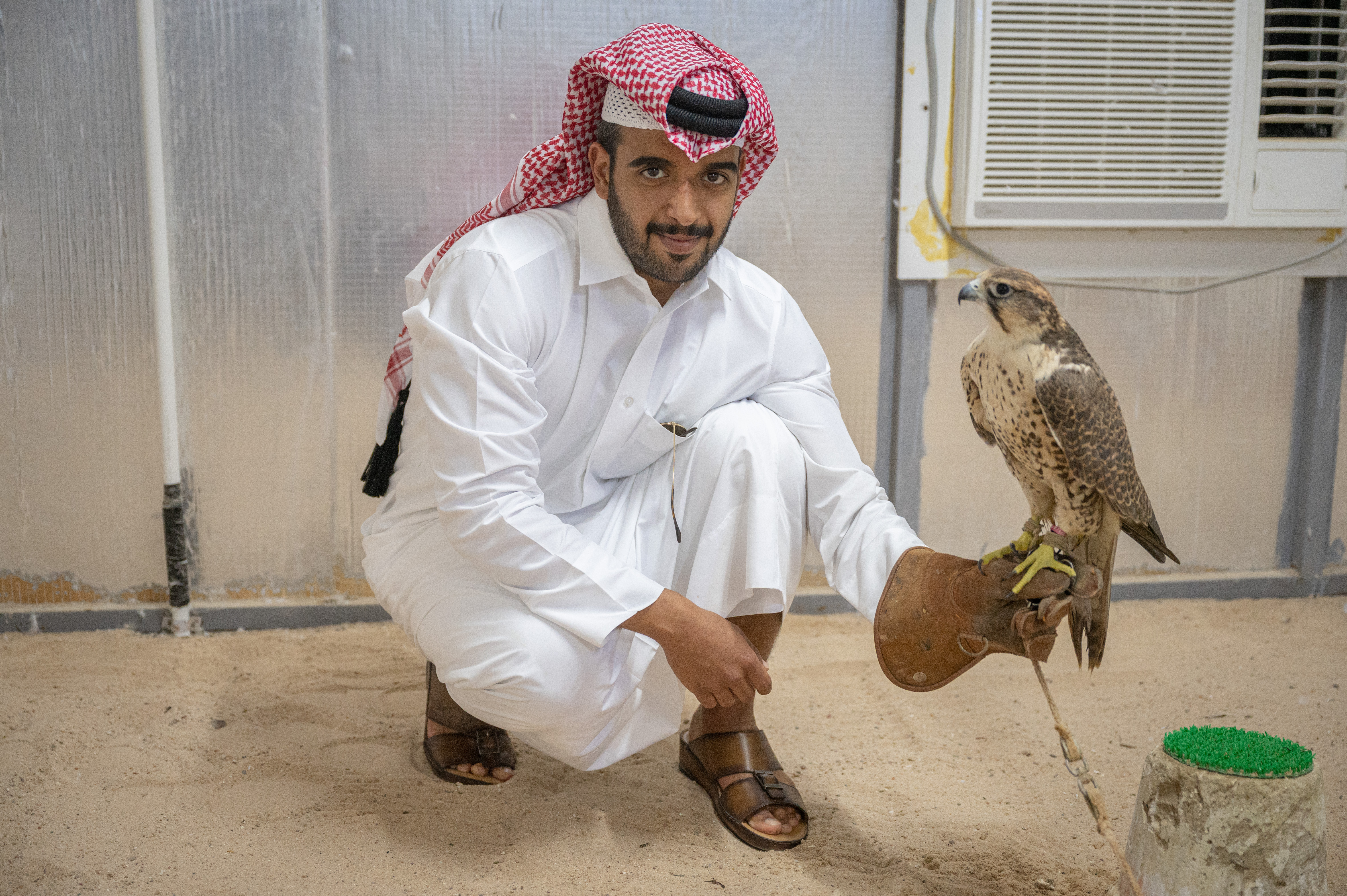 ¿Qué es la cetrería? Una competencia común en Qatar