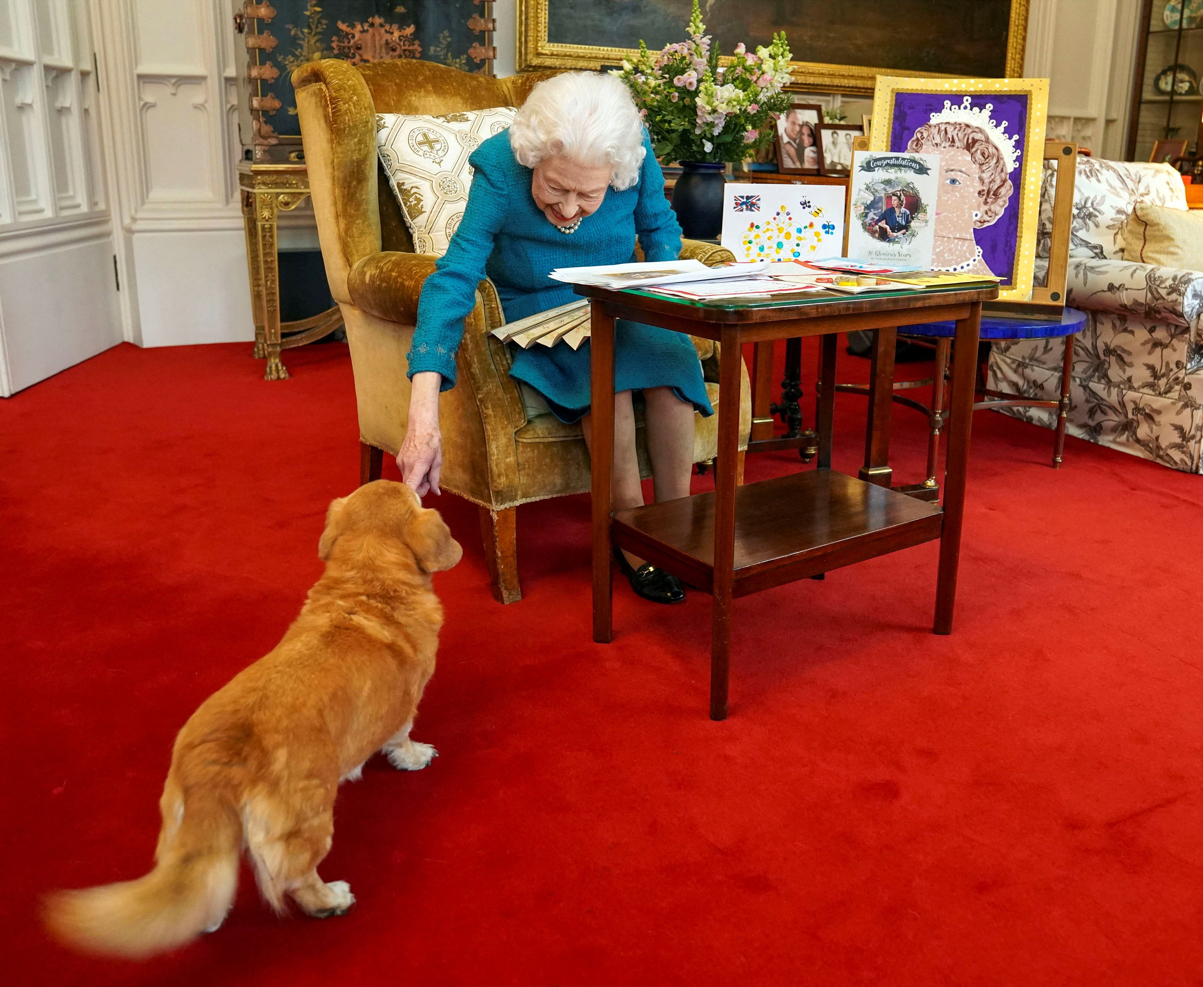 La reina Isabel II tenía un especial cariño hacia sus mascotas, que eran muy consentidas. (Foto Prensa Libre: AFP)