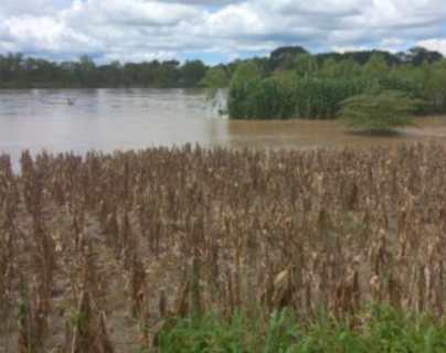 Lluvias en Guatemala: Estos son los productos y las zonas más golpeadas por el clima en las últimas horas