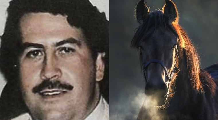 ¿Cuánto costaba el caballo de Pablo Escobar