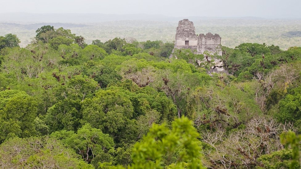 Las ruinas mayas de Tikal aparecen en dos películas de la saga de Star Wars.