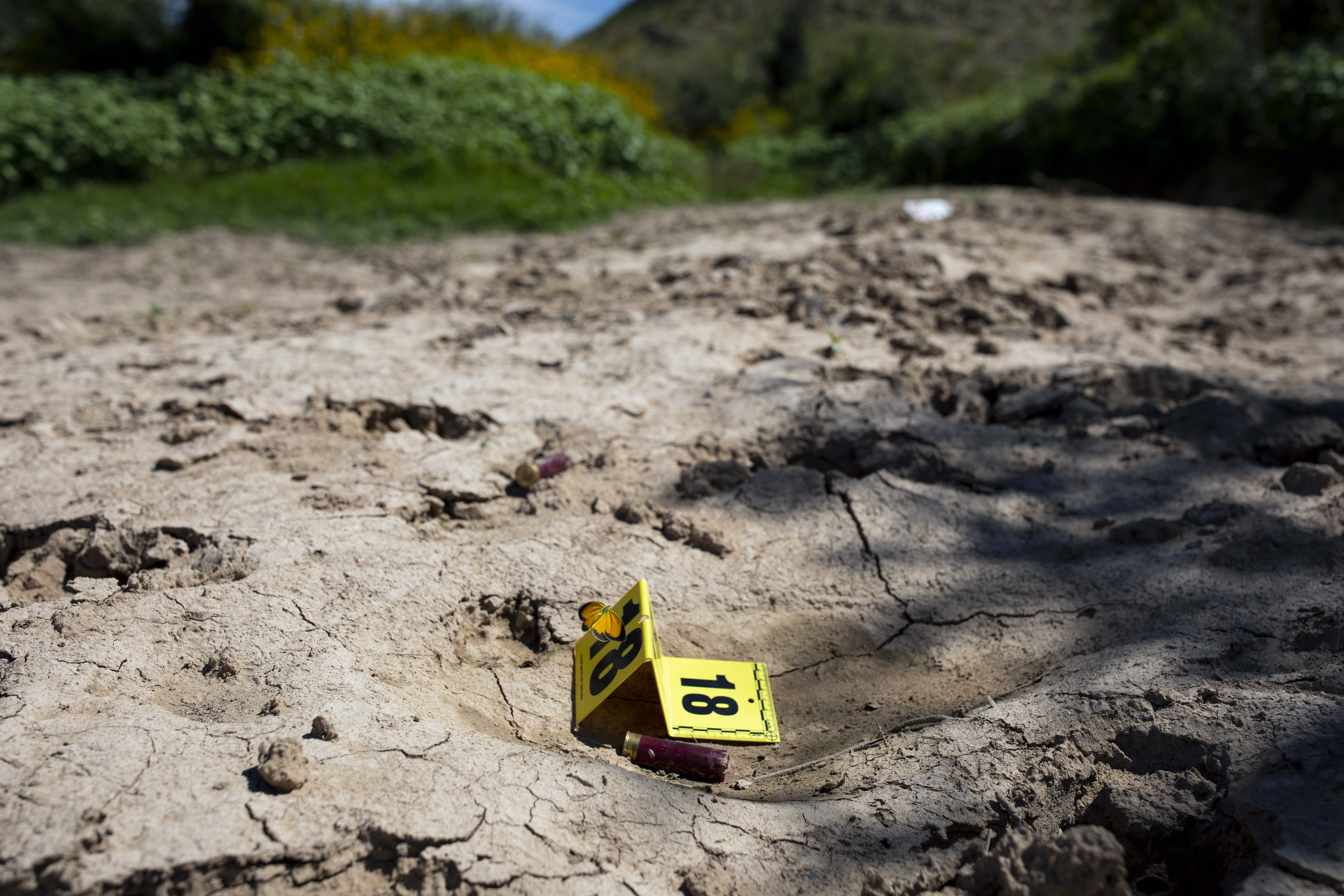 El 30 de septiembre de 2022, un marcador de pruebas de plástico amarillo permanece en un pequeño embalse en el que se disparó a dos migrantes, uno de ellos mortalmente, cerca de Sierra Blanca, Texas. (Foto Prensa Libre: Ivan Pierre Aguirre/The New York Times)