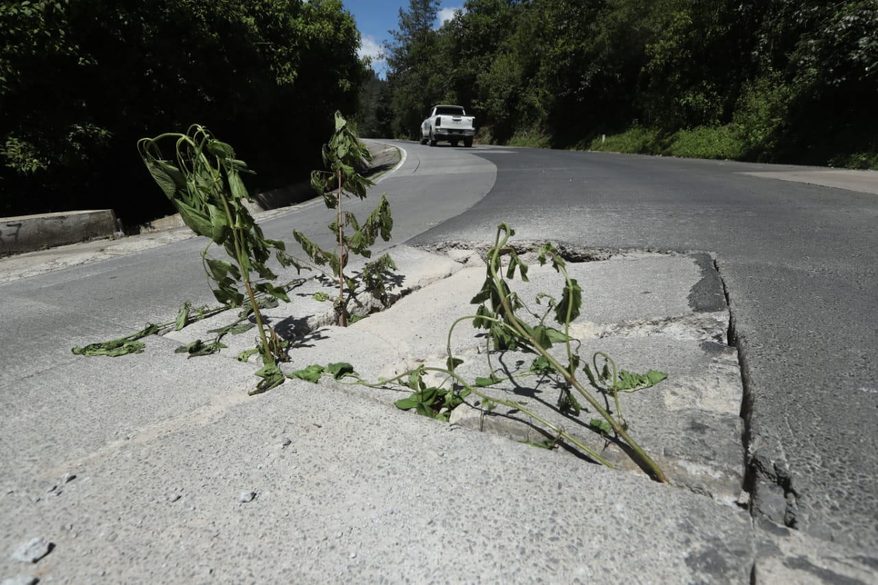 Las ramas de los árboles sirvieron como señalización para que los ciclistas no sufrieran accidentes. (Foto Prensa Libre: Esbin García)