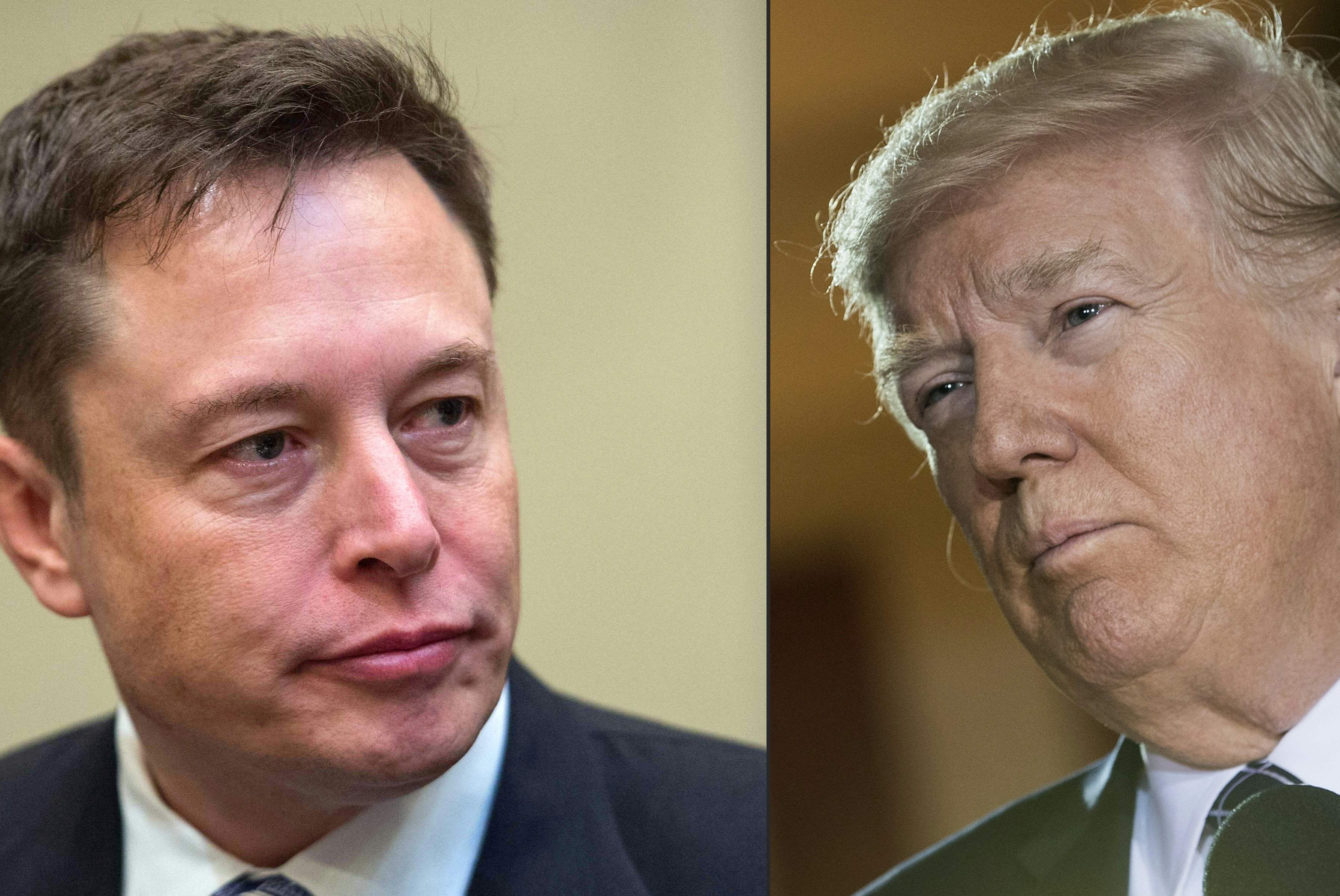 Elon Musk y Donald Trump