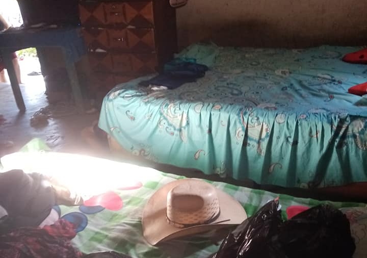 Hombre de 72 años fue detenido por presunto asesinato contra una mujer y tras cometer el crimen intentó suicidaderse.